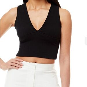 NWT deep V neck sleeveless crop top